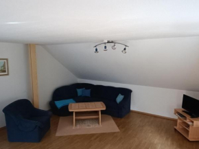 Großzügige Ferienwohnung